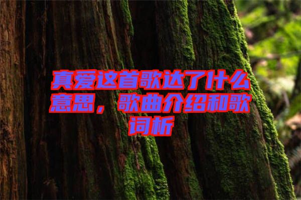 真愛這首歌達(dá)了什么意思，歌曲介紹和歌詞析