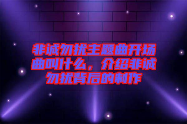 非誠勿擾主題曲開場曲叫什么，介紹非誠勿擾背后的制作