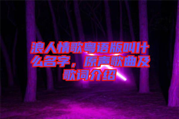 浪人情歌粵語版叫什么名字，原聲歌曲及歌詞介紹