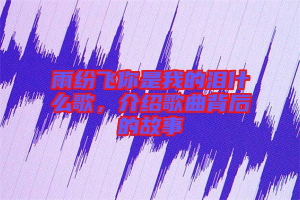 雨紛飛你是我的淚什么歌，介紹歌曲背后的故事