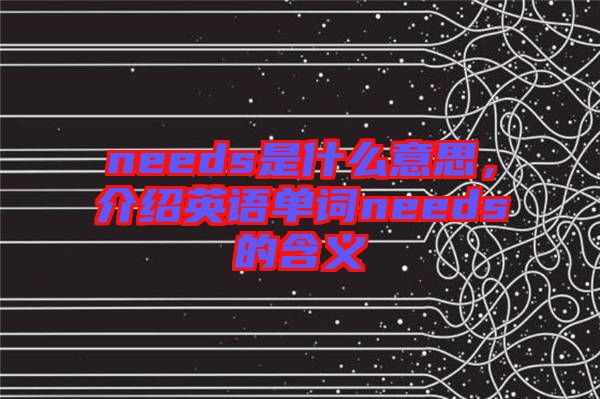 needs是什么意思，介紹英語單詞needs的含義