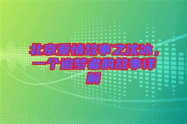 北京愛情故事之沈冰，一個追夢者的故事詳解