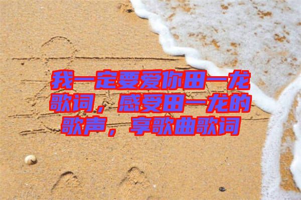 我一定要愛你田一龍歌詞，感受田一龍的歌聲，享歌曲歌詞