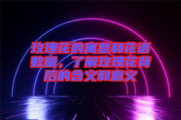 玫瑰花的寓意和花語數(shù)量，了解玫瑰花背后的含義和意義