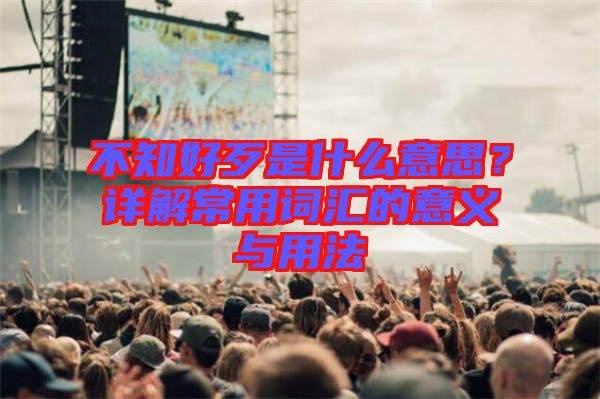 不知好歹是什么意思？詳解常用詞匯的意義與用法