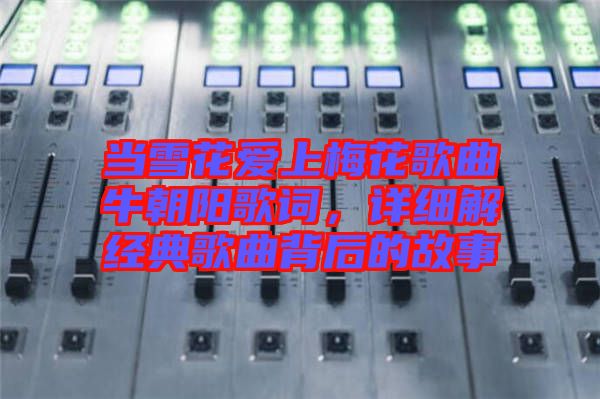 當(dāng)雪花愛上梅花歌曲牛朝陽歌詞，詳細(xì)解經(jīng)典歌曲背后的故事