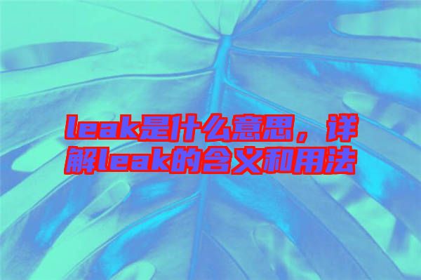 leak是什么意思，詳解leak的含義和用法