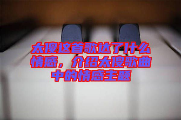 太傻這首歌達(dá)了什么情感，介紹太傻歌曲中的情感主題