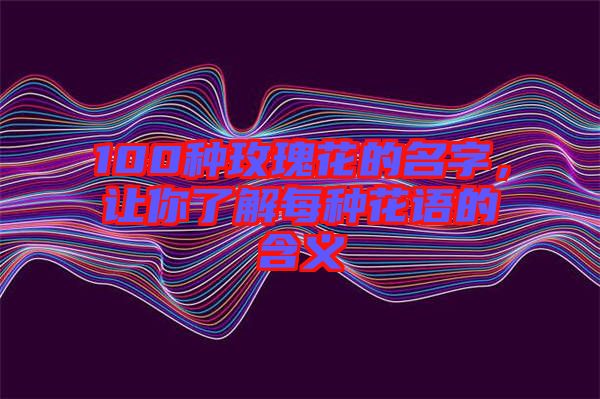 100種玫瑰花的名字，讓你了解每種花語的含義