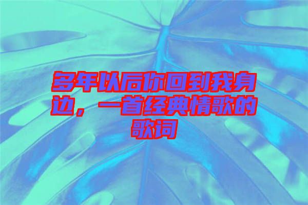 多年以后你回到我身邊，一首經(jīng)典情歌的歌詞