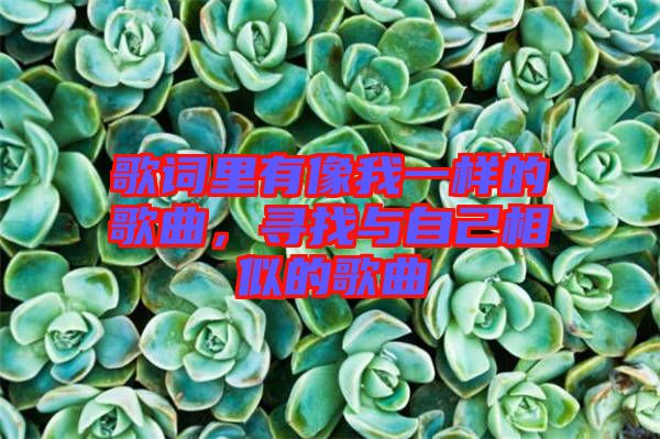 歌詞里有像我一樣的歌曲，尋找與自己相似的歌曲