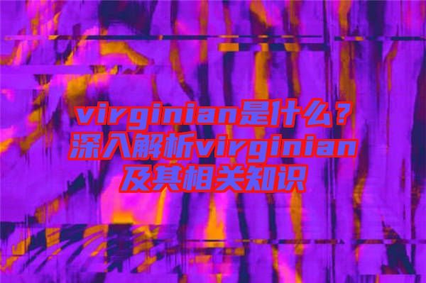 virginian是什么？深入解析virginian及其相關(guān)知識