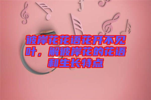 彼岸花花語(yǔ)花開(kāi)不見(jiàn)葉，解彼岸花的花語(yǔ)和生長(zhǎng)特點(diǎn)