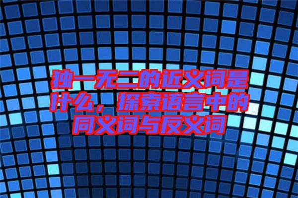 獨(dú)一無(wú)二的近義詞是什么，探索語(yǔ)言中的同義詞與反義詞