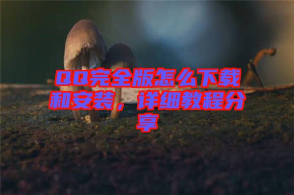 QQ完全版怎么下載和安裝，詳細教程分享