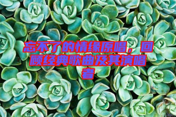 忘不了的情緣原唱，回顧經(jīng)典歌曲及其演唱者