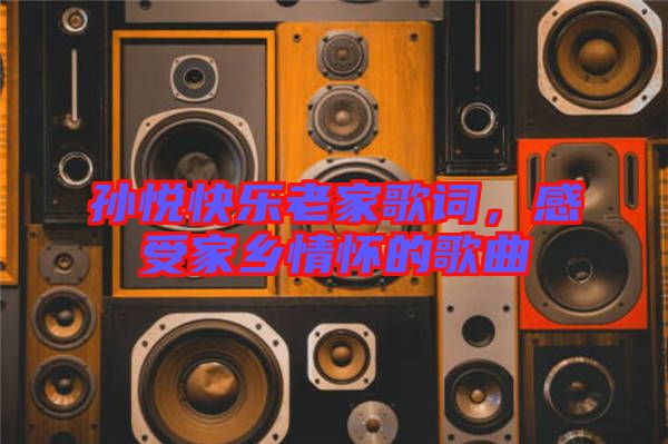 孫悅快樂(lè)老家歌詞，感受家鄉(xiāng)情懷的歌曲