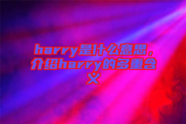 harry是什么意思，介紹harry的多重含義