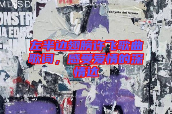 左半邊翅膀許飛歌曲歌詞，感受愛情的深情達(dá)