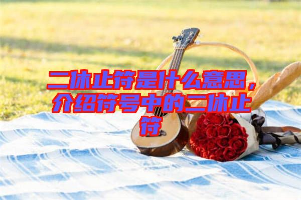 二休止符是什么意思，介紹符號(hào)中的二休止符