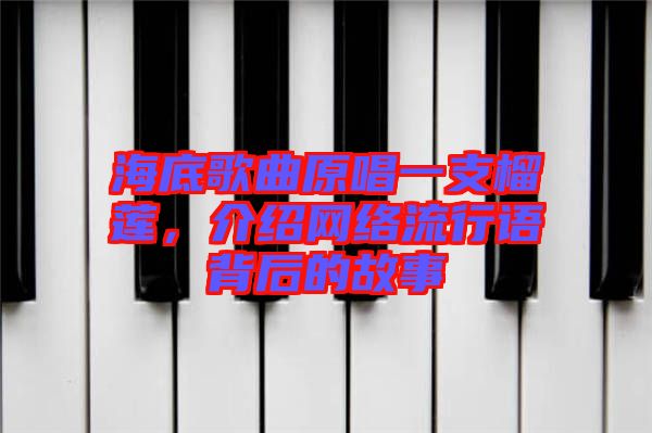 海底歌曲原唱一支榴蓮，介紹網(wǎng)絡(luò)流行語(yǔ)背后的故事