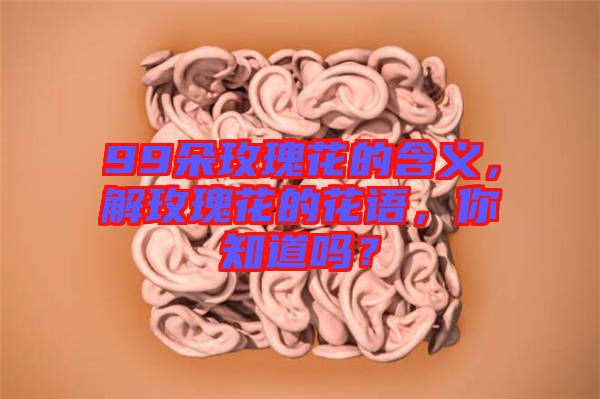 99朵玫瑰花的含義，解玫瑰花的花語(yǔ)，你知道嗎？