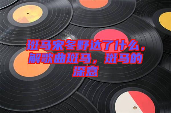 斑馬宋冬野達(dá)了什么，解歌曲斑馬，斑馬的深意