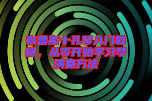 布魯斯十孔琴入門教程，從零開始學(xué)習(xí)琴演奏方法