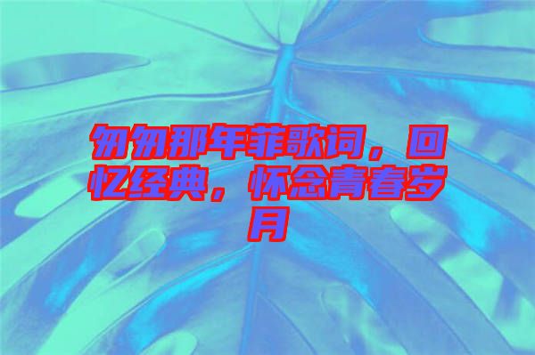 匆匆那年菲歌詞，回憶經(jīng)典，懷念青春歲月