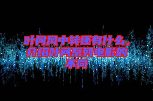 葉問風(fēng)中轉(zhuǎn)還有什么，介紹葉問系列電影的不同