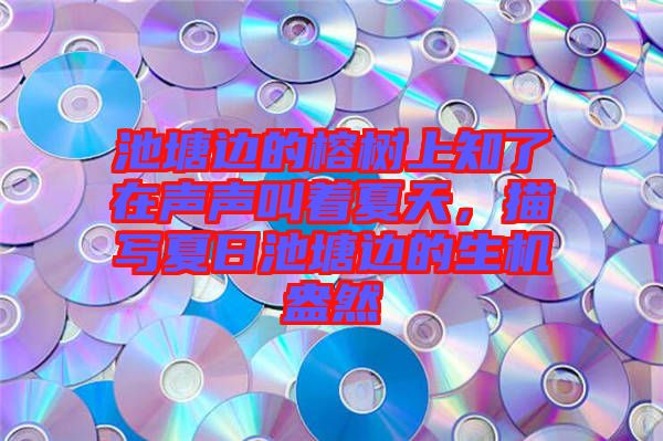 池塘邊的榕樹上知了在聲聲叫著夏天，描寫夏日池塘邊的生機(jī)盎然