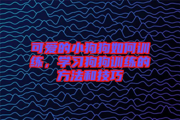 可愛的小狗狗如何訓(xùn)練，學(xué)習(xí)狗狗訓(xùn)練的方法和技巧