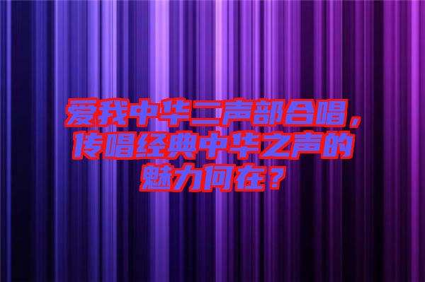 愛我中華二聲部合唱，傳唱經(jīng)典中華之聲的魅力何在？