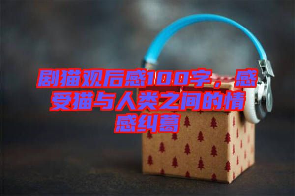 劇貓觀后感100字，感受貓與人類(lèi)之間的情感糾葛