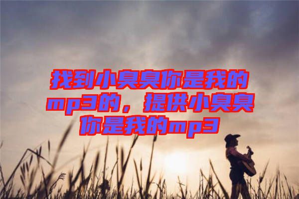 找到小臭臭你是我的mp3的，提供小臭臭你是我的mp3