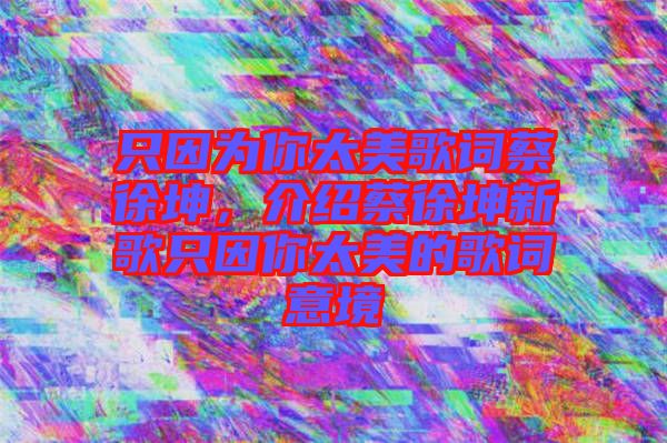 只因?yàn)槟闾栏柙~蔡徐坤，介紹蔡徐坤新歌只因你太美的歌詞意境