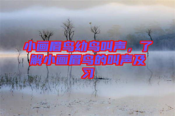 小畫(huà)眉鳥(niǎo)幼鳥(niǎo)叫聲，了解小畫(huà)眉鳥(niǎo)的叫聲及習(xí)