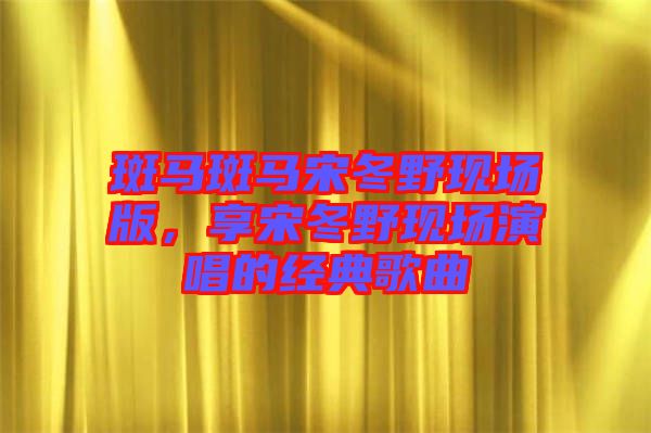 斑馬斑馬宋冬野現(xiàn)場版，享宋冬野現(xiàn)場演唱的經(jīng)典歌曲