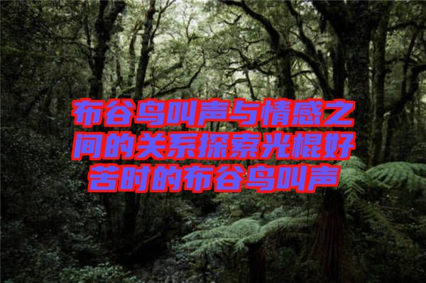 布谷鳥叫聲與情感之間的關系探索光棍好苦時的布谷鳥叫聲