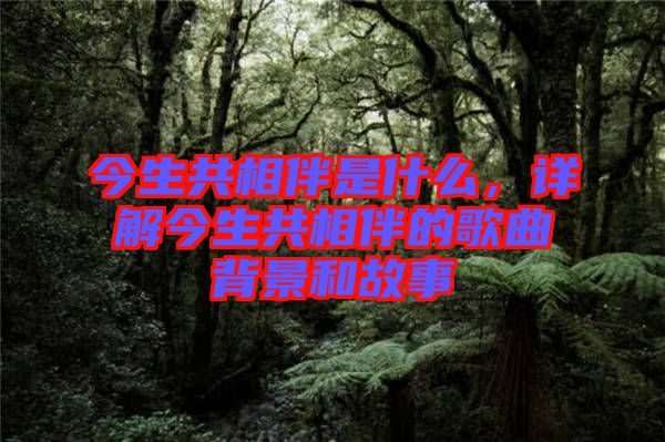 今生共相伴是什么，詳解今生共相伴的歌曲背景和故事