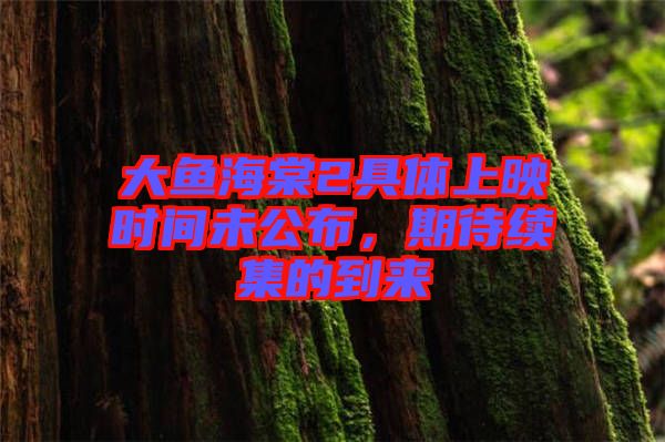 大魚海棠2具體上映時間未公布，期待續(xù)集的到來