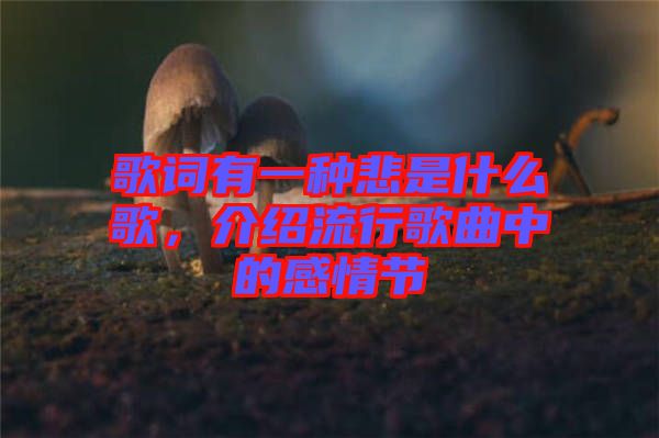 歌詞有一種悲是什么歌，介紹流行歌曲中的感情節(jié)