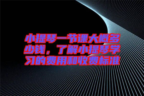 小提琴一節(jié)課大概多少錢，了解小提琴學習的費用和收費標準