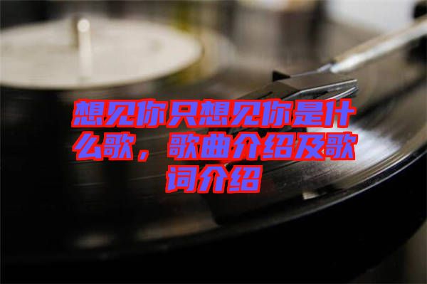 想見你只想見你是什么歌，歌曲介紹及歌詞介紹