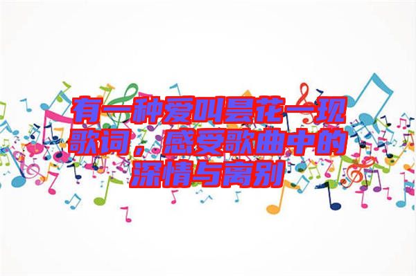 有一種愛叫曇花一現(xiàn)歌詞，感受歌曲中的深情與離別