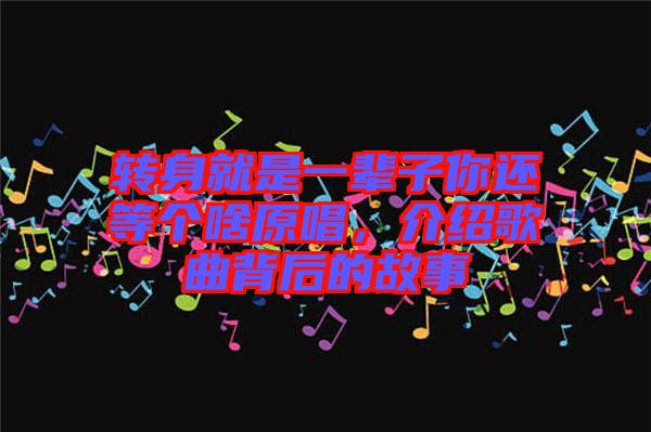 轉(zhuǎn)身就是一輩子你還等個(gè)啥原唱，介紹歌曲背后的故事