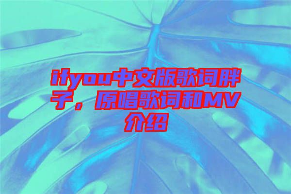 ifyou中文版歌詞胖子，原唱歌詞和MV介紹