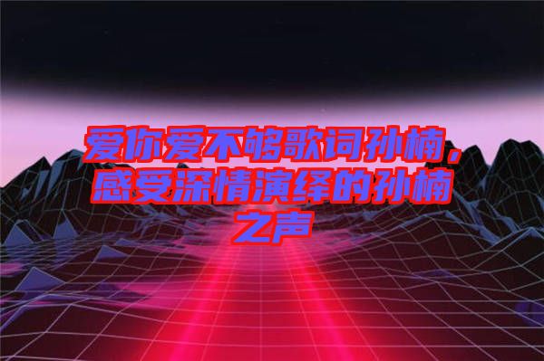 愛你愛不夠歌詞孫楠，感受深情演繹的孫楠之聲