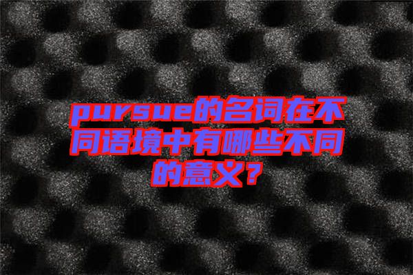 pursue的名詞在不同語境中有哪些不同的意義？