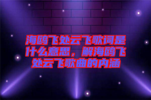 海鷗飛處云飛歌詞是什么意思，解海鷗飛處云飛歌曲的內涵